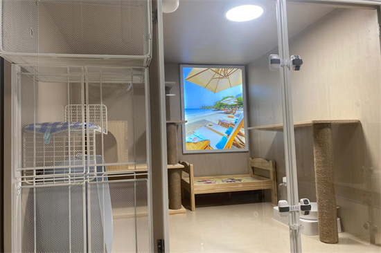 九龍豪裝寵物酒店